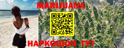 эйфоретик Будённовск