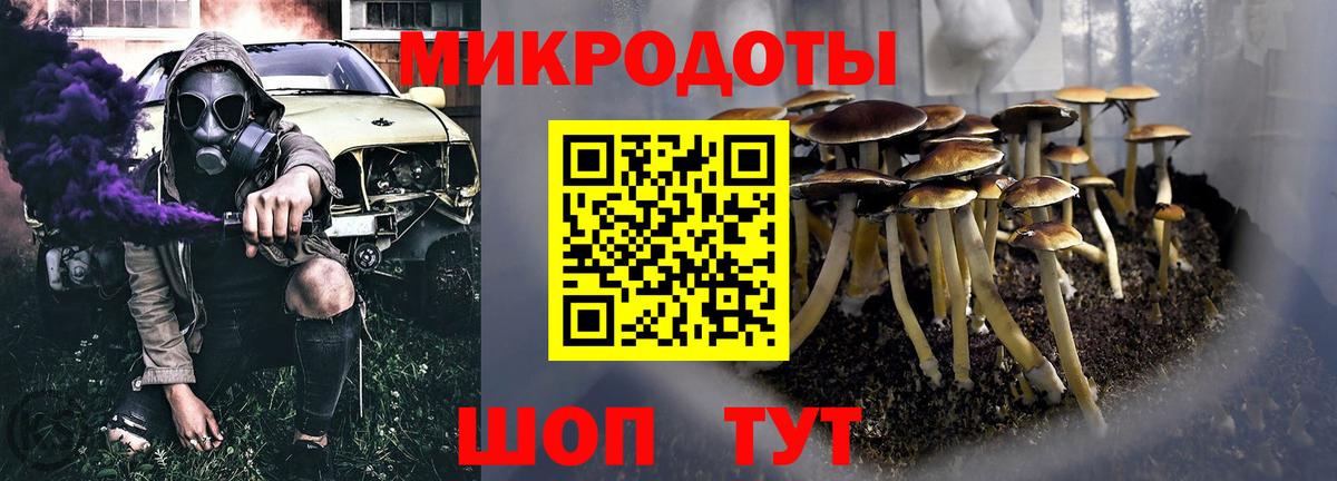Томск  Псилоцибиновые грибы Cubensis  Вход с VPN 